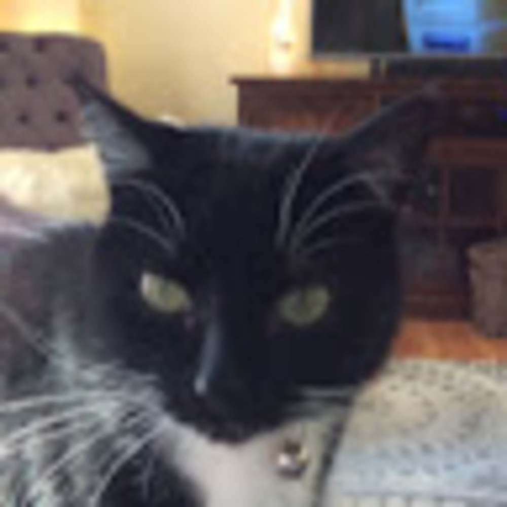 Meet your Posher, Cathy jo